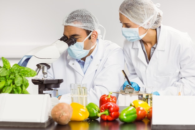 Food scientists using the microscope for research