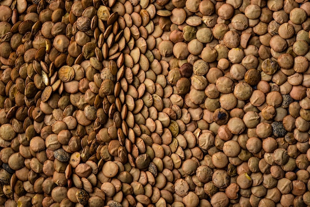 Consistenza del cibo di lenticchie secche verdi