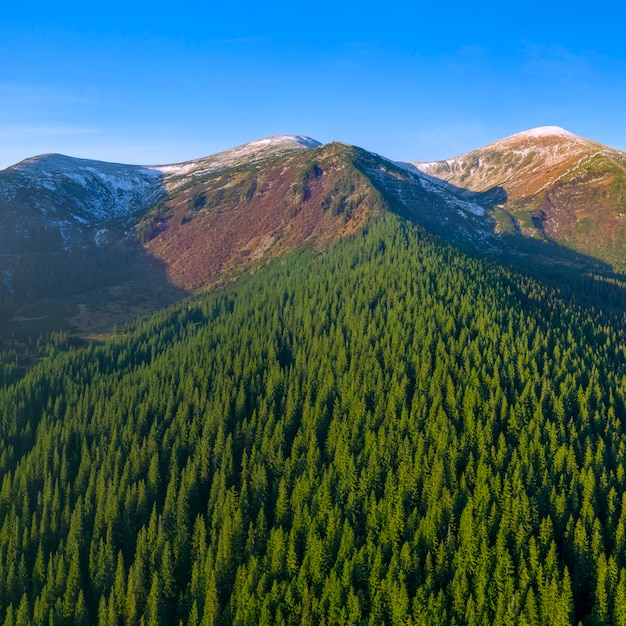 雪をかぶった山頂のある山麓は森に覆われています。