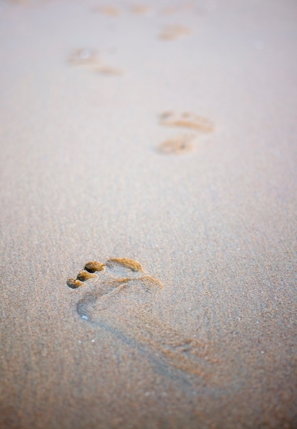 Foot prints on sandy beach.