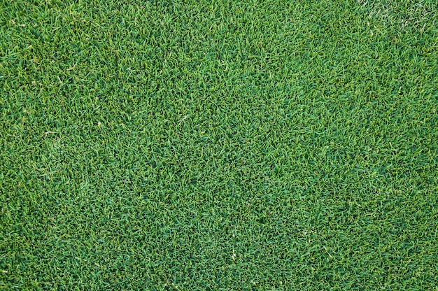 Football artificial grass green grass pattern textured background