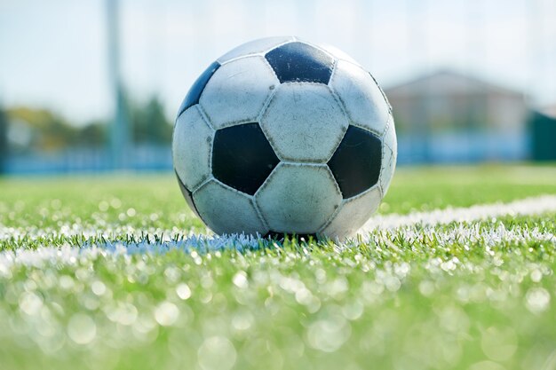 Football ball on the grass