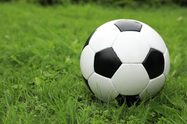 Football ball on green grass outdoors space for text