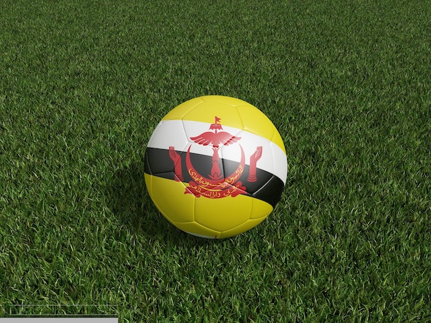 Football in Brunei Darussalam flag on green grass 3d rendering