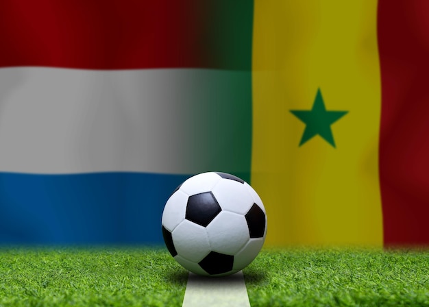 オランダ代表とセネガル代表のサッカー カップ戦