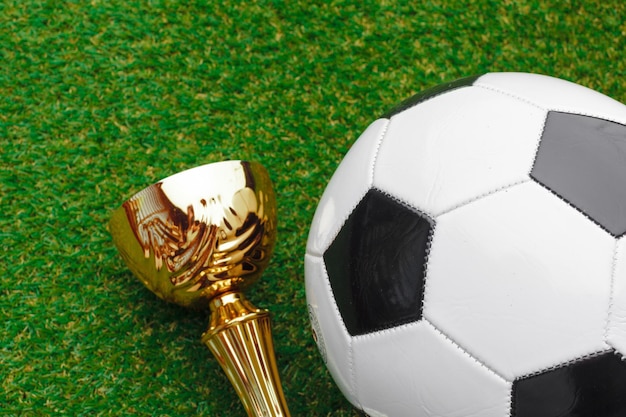 Football cup with football ball on grass