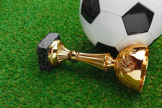 Футбольный кубок с футбольным мячом на траве