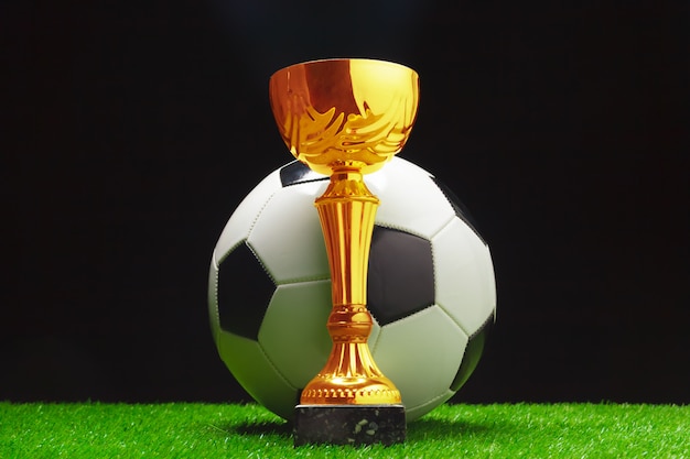 Football cup with football ball on grass