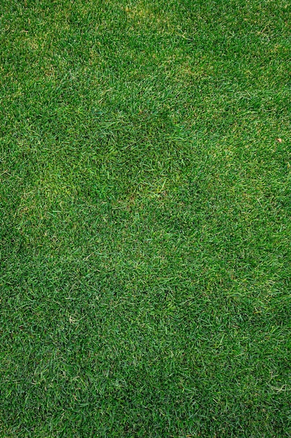 Photo football field. grass texture. green lawn. natural background. background of juicy green grass.