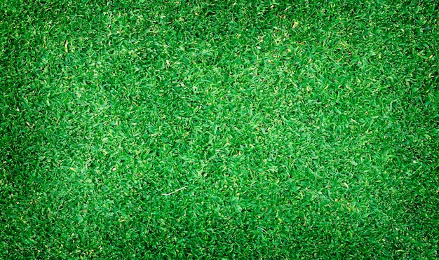 Photo football field green grass pattern textured background