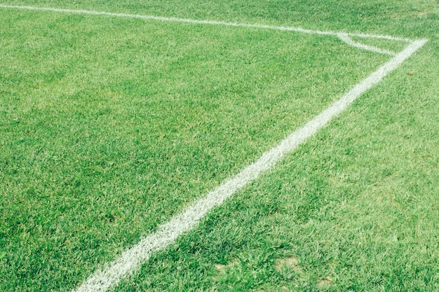 Foto campo di calcio, prato verde con una linea disegnata con vernice bianca