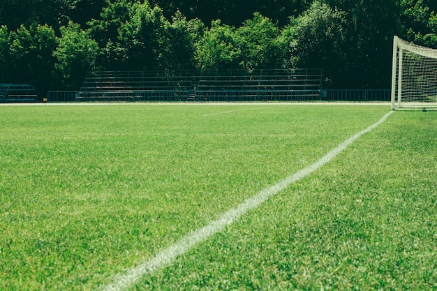 Photo football field, green lawn with a line drawn with white paint