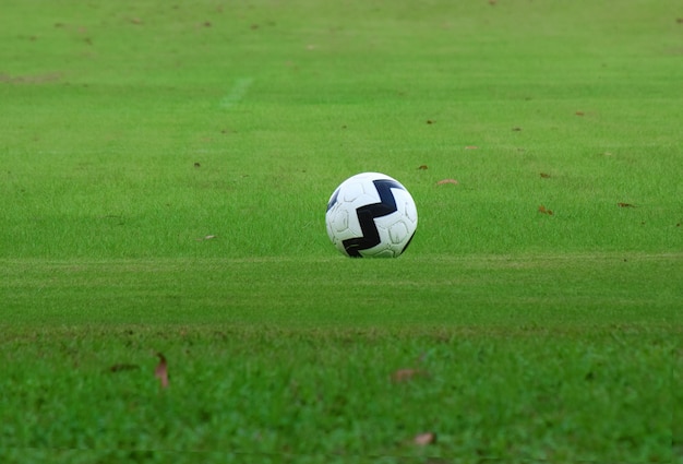 football on the football field green grass