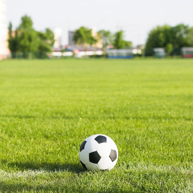 写真 ぼんやりとした背景の草の中のサッカー