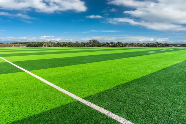 Football pitch and a cloudy sky. Green field.