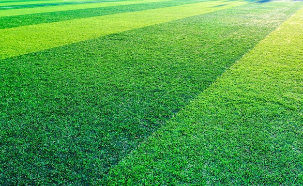 Football pitch and a cloudy sky. Green field.