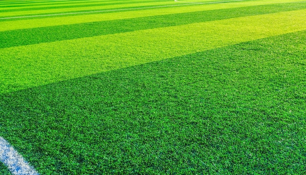 Football pitch and a cloudy sky. Green field.