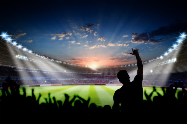 Football soccer Stadium at night with audience fans 3d rendering