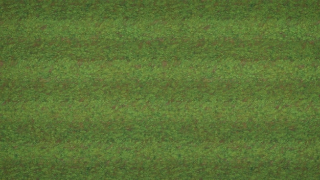 football stadium playground grass 2d flat texture background social media graphic designs top view