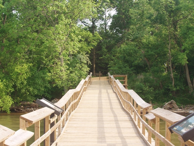 Photo footbridge against trees