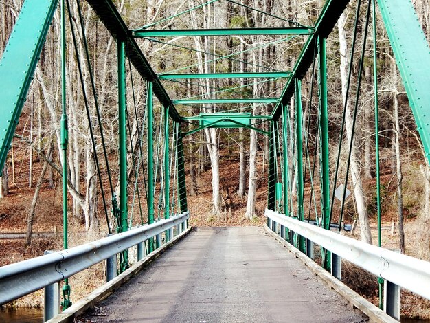 Foto ponte pedonale contro gli alberi