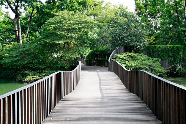 Footbridge along plants and trees