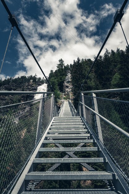 Foto ponte pedonale in mezzo alle piante contro il cielo