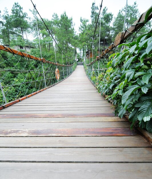 Photo footbridge amidst trees against sky