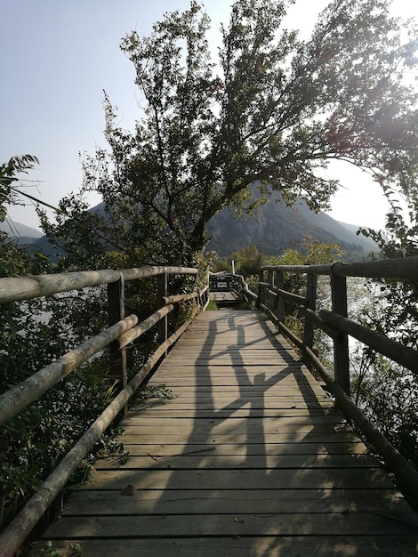 Foto ponte pedonale in mezzo agli alberi contro il cielo