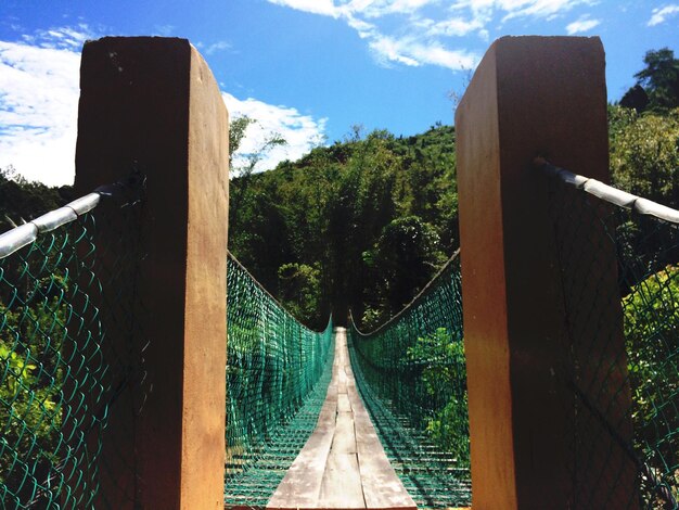 写真 天空を背景に木々の中の歩道橋