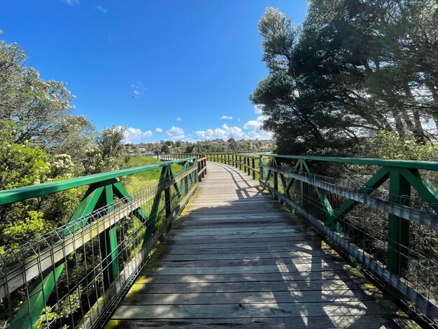 Footbridge amidst trees against sky