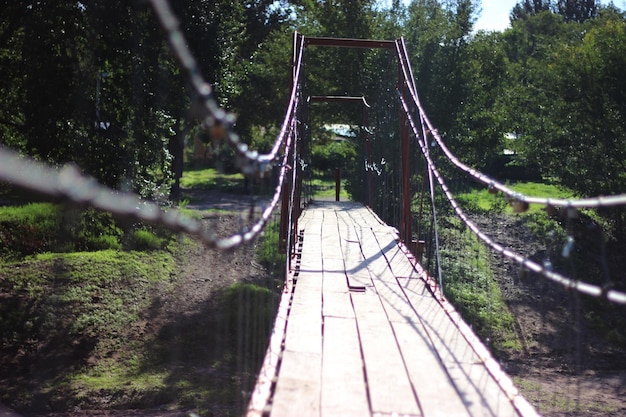 Foto ponte pedonale in mezzo agli alberi della foresta