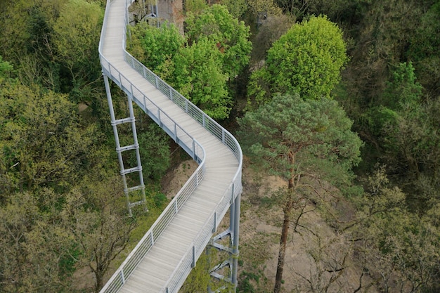 Foto ponte pedonale in mezzo agli alberi della foresta