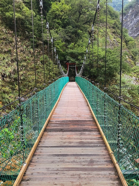 Foto ponte pedonale in mezzo agli alberi della foresta