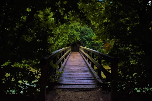 Photo footbridge amidst trees in forest