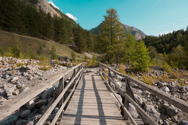 Ponte pedonale in mezzo agli alberi e alle montagne contro il cielo