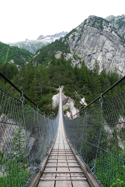 Пешеходный мост среди деревьев и гор