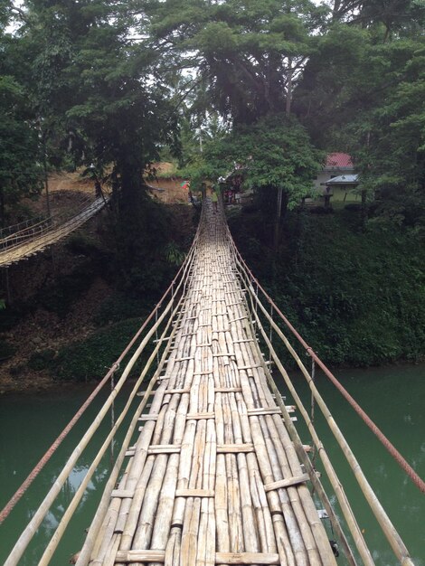 Foto ponte pedonale in mezzo agli alberi