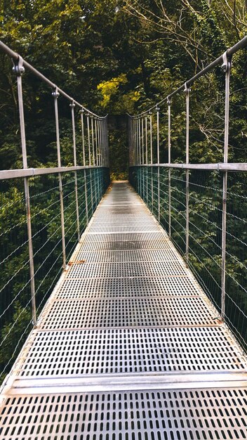 Footbridge amidst trees