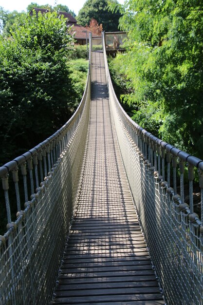 Foto ponte pedonale in mezzo agli alberi