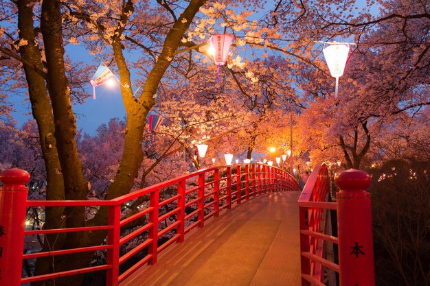 Foto ponte pedonale tra gli alberi contro il cielo