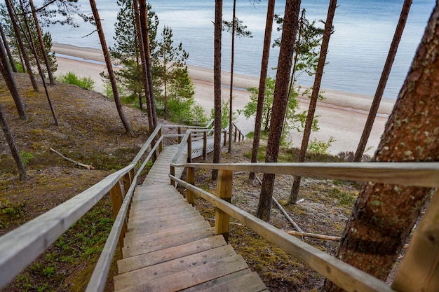 Foto passerella su una duna sulla spiaggia nel mar baltico della lettonia