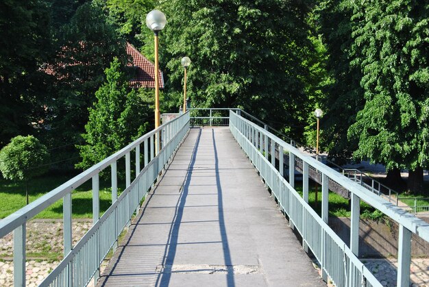 Foto ponte pedonale su un sentiero tra gli alberi