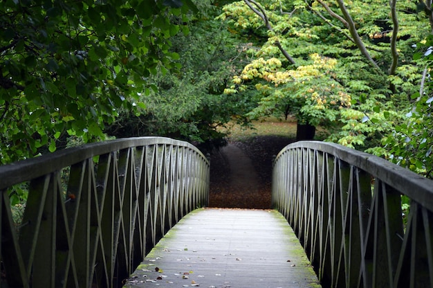 Foto ponte pedonale su un sentiero tra gli alberi