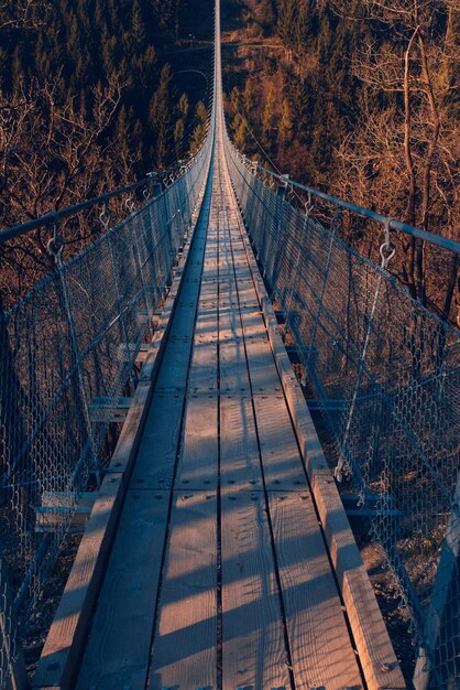 Photo footbridge in forest at night