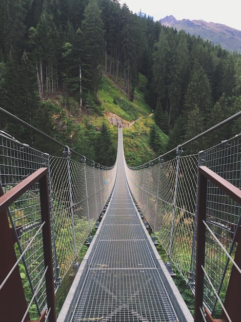 Photo footbridge in forest