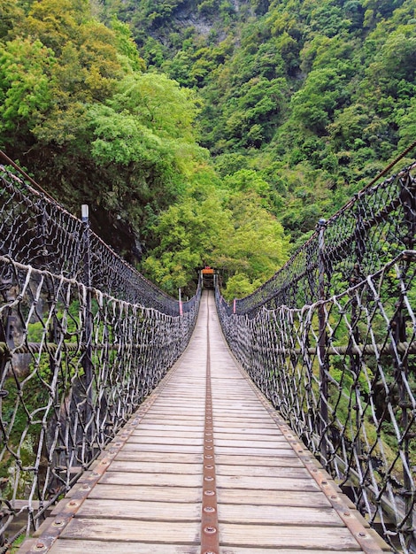 Photo footbridge in forest