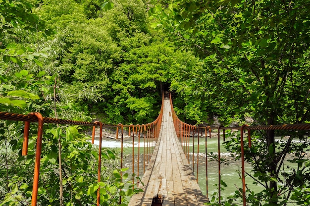 Foto ponte pedonale nella foresta