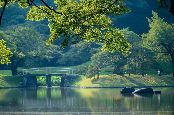 Photo 나무 들 에 맞서 호수 를 가로지르는 보행자 다리