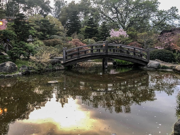 footbridge over lake against trees